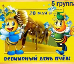 img (2)